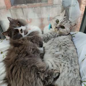 昭福爱吃🦐（智辉钣金）头像