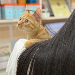 文 清 🦋 ¹ ¹ ² ³头像