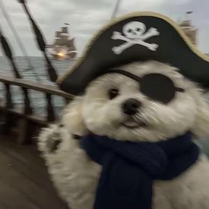 阳光宅男☀️头像