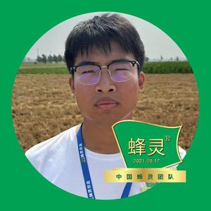 蜂灵农业张高原头像