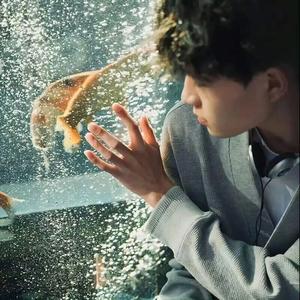 为你撑晴空头像