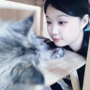 小洋快快好！头像