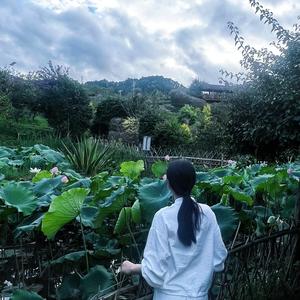 🫐🫐～梅头像