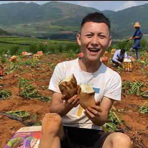 小杨农产品优选头像