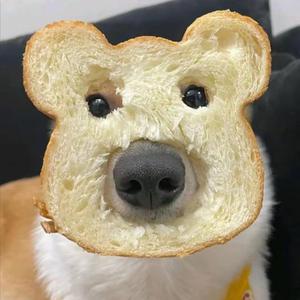 eee的抖音 - 抖音