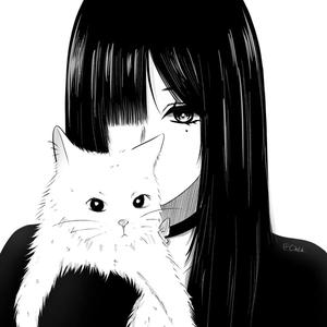 零石大礼包/-头像