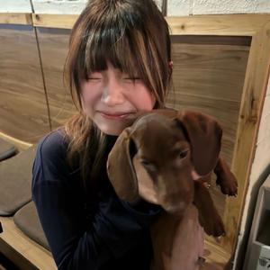 开心霄霄乐头像