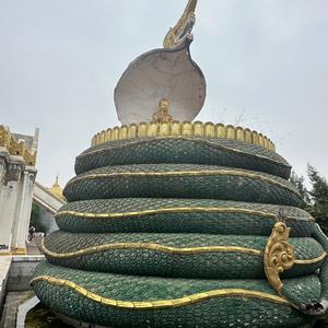 沪上长信侯头像