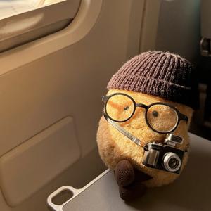 弦雨声(朋斌)头像