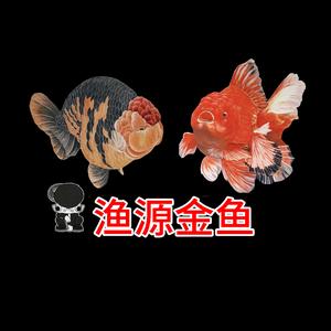 渔源鱼业-懂事长头像