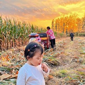 🫥 夏天、头像