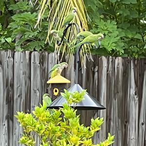 女人不狠，地位不稳头像