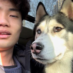 高总先生 𝐍𝐞𝐰 𝐨𝐧𝐞头像