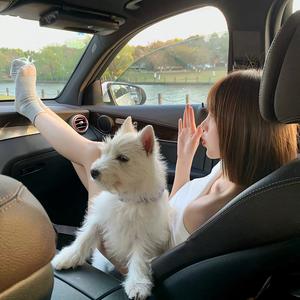 야옹🐾（55）头像