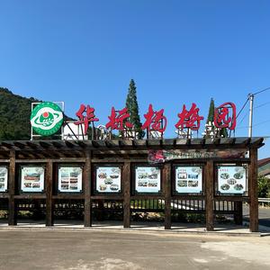 余姚华标杨梅园头像