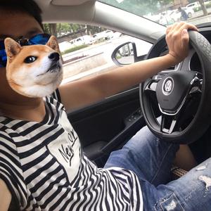 黄金的小泥鳅头像