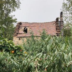 我家小院•山舍头像