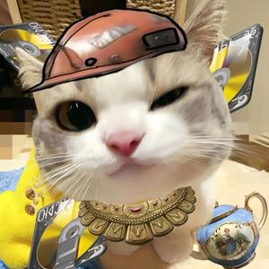 小杨代肝（暗区突围pc）头像