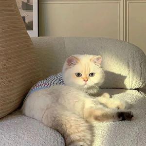 ᨶ႒ᩚ. 余温散尽头像