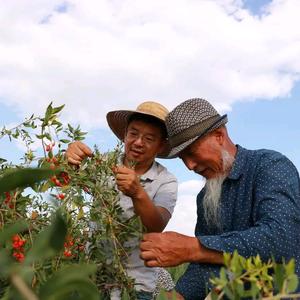 海口商贸新地标：走进龙华区繁华商业圈