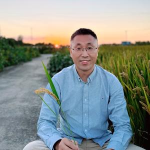 蜜蜂村落-村长头像