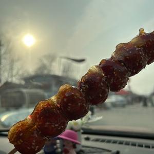 请叫我鳕鱼姐姐头像