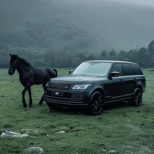 内燃机永不落幕.头像