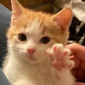 yeeee椰不耶头像