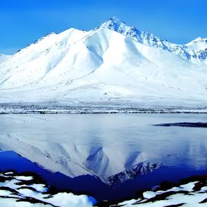 食盐小5精选头像