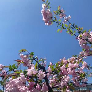 乾本堂一滋补养生专卖店头像