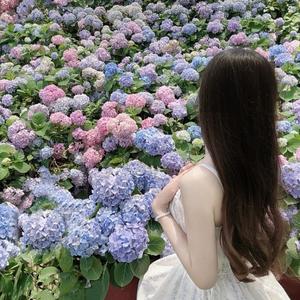 鱼爱吃芝士（日记版）头像