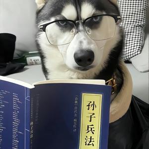五角星⭐️头像