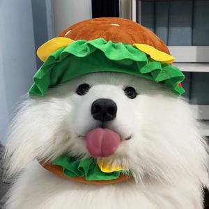 今天开心le嘛头像