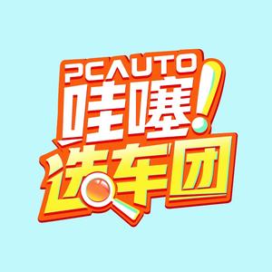 哇噻选车团头像