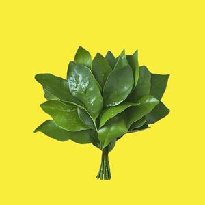 起个什么名字呢头像