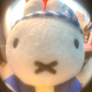 ow美女李春娟（离异三胎宝妈不看私信）头像