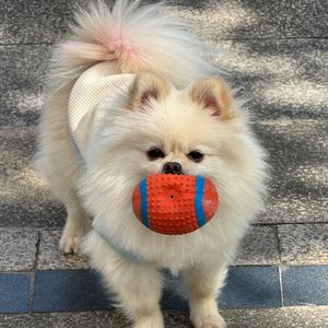 米妮在干嘛头像