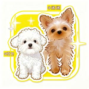 蝴蝶闹闹和比熊豆包头像