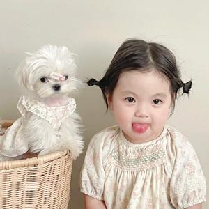 爱打碰胡的壹壹头像