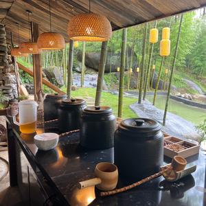 重生之在大围山养老头像