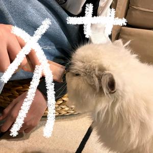 你我之间的缘头像