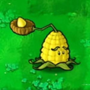 糯玉米投手🫟头像