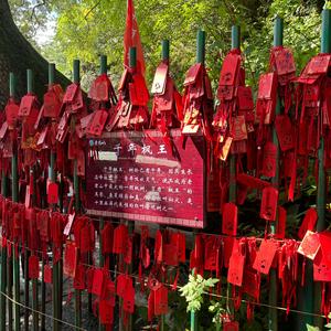 三木*成森（1909）头像