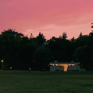 南柯一梦、头像