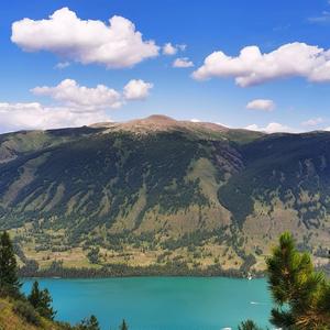 采姑娘的小蘑菇V头像