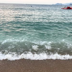 物流仓的纯牛马头像