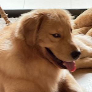 GyTtttttttttin头像