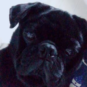 吕小哈的大吕头像