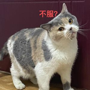 bmvmbmbm头像