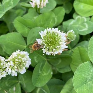 成成学做菜日记头像